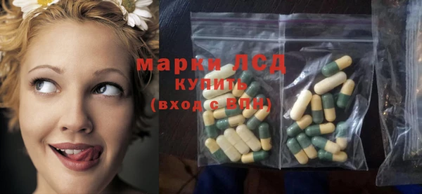 PSILOCYBIN Баксан