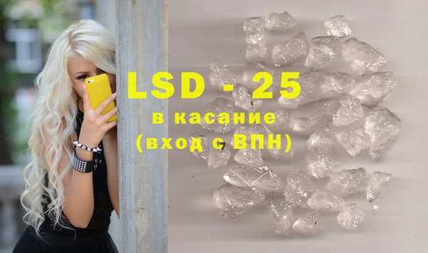 PSILOCYBIN Баксан